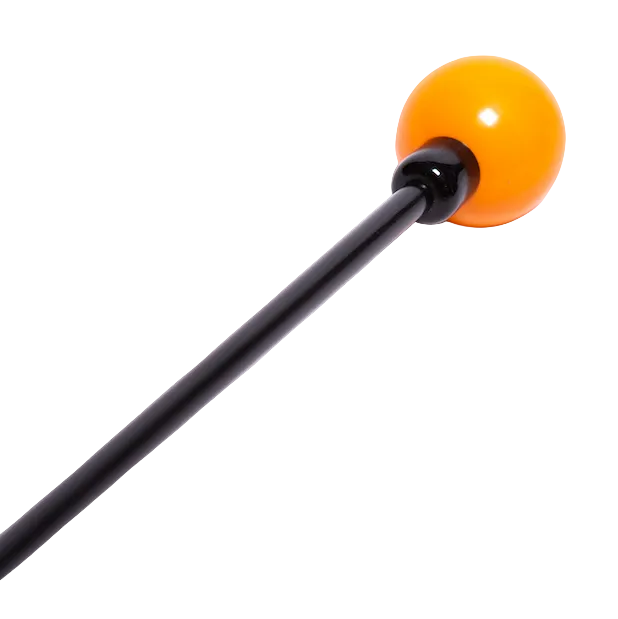 LightSpeed Trainer