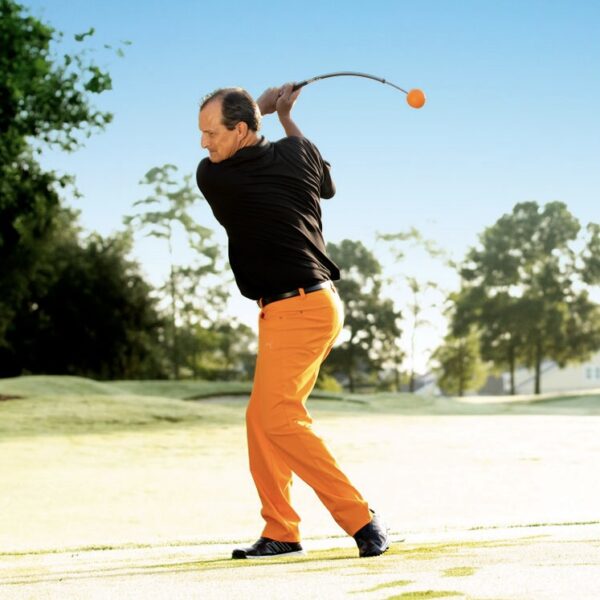 The Original Orange Whip Trainer - Image 2